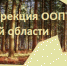 Поможем зубрам выжить! - Национальный парк Орловское полесье